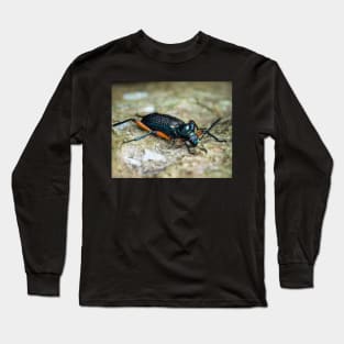 Darkling beetle (Strongylium sp.) Long Sleeve T-Shirt